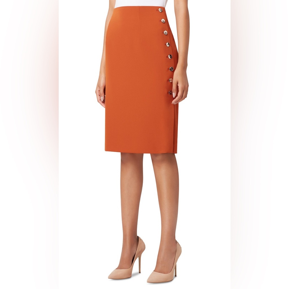 Tahari ASL Pencil Skirt (size 6)